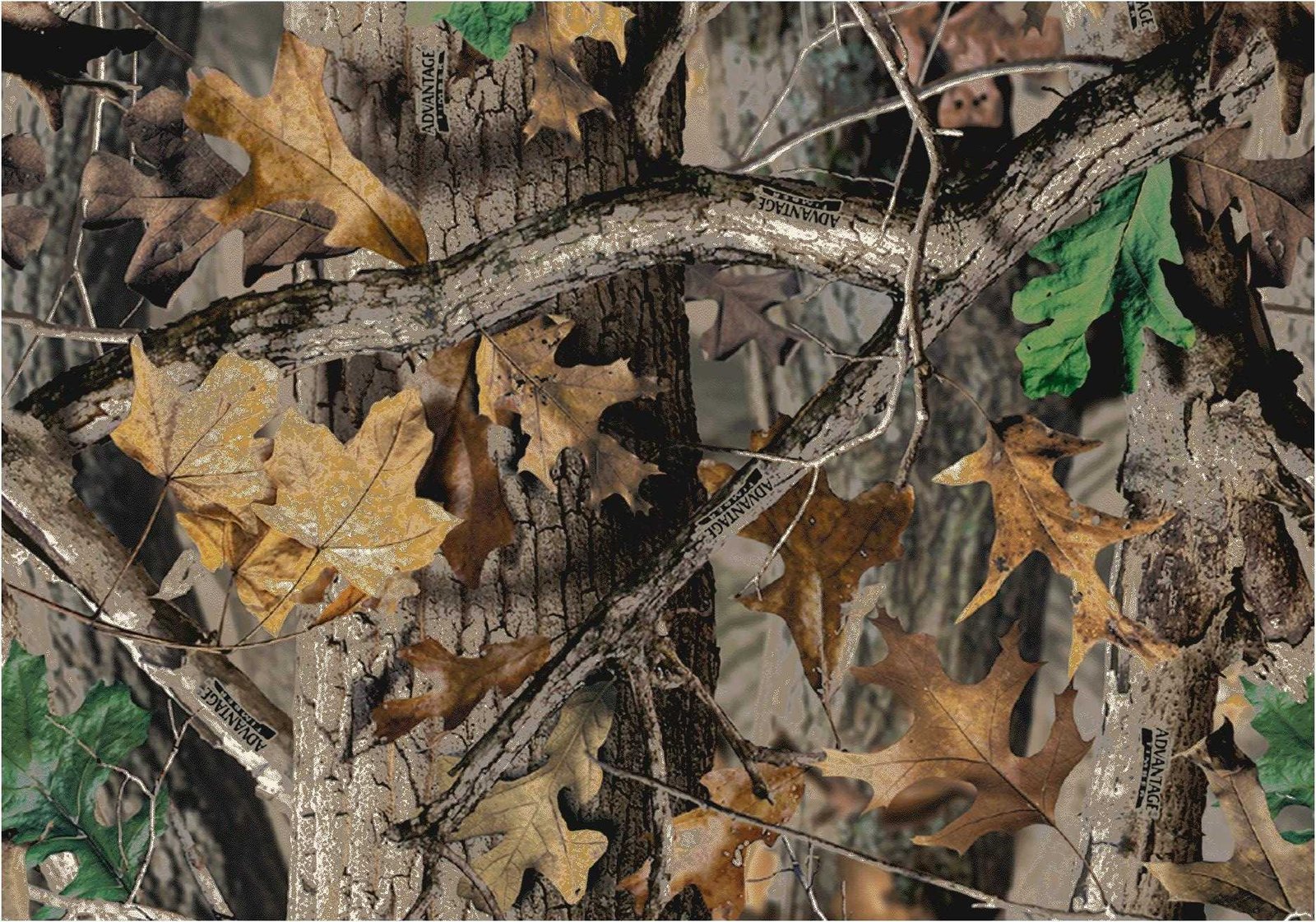 Camouflage for hunting